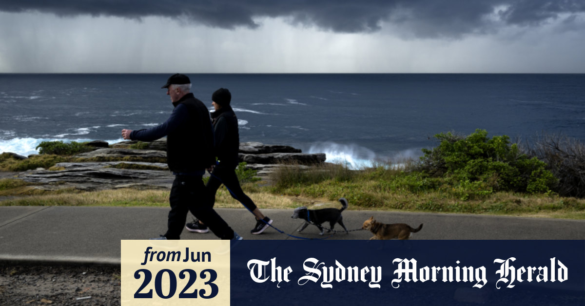 Sydney weather Coldest June morning in 13 years